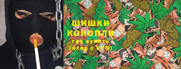 МДПВ Богородск