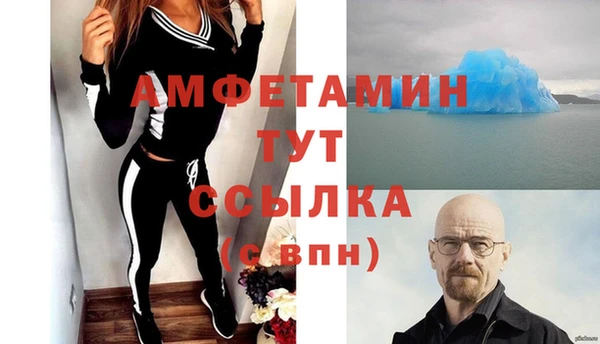 прущие грибы Бородино