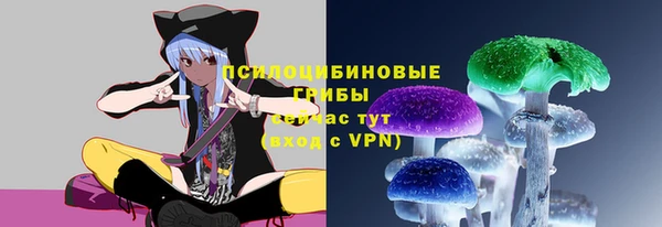 соль курить ск Бугульма