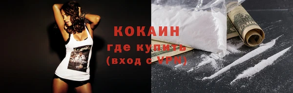 прущие грибы Бородино