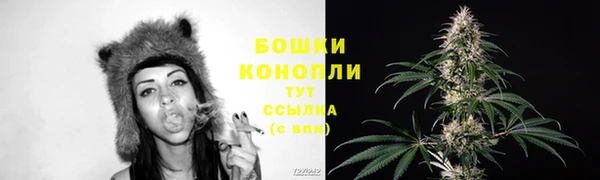 МДПВ Богородск