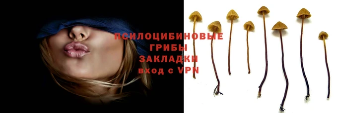 марихуана Богородицк