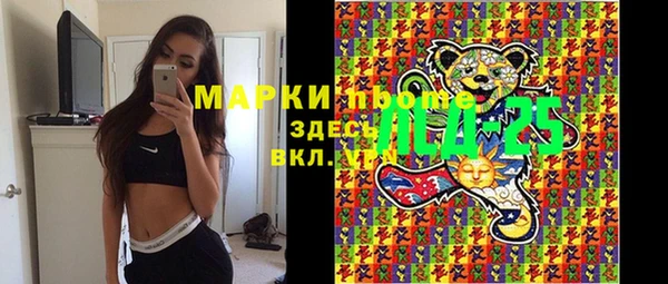 МДПВ Богородск
