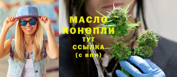 МДПВ Богородск