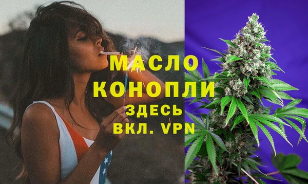 МДПВ Богородск