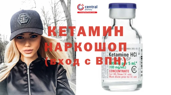 прущие грибы Бородино